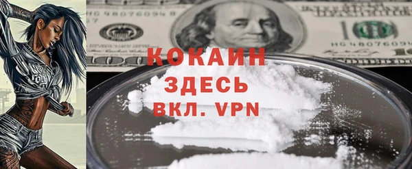 стафф Алексин