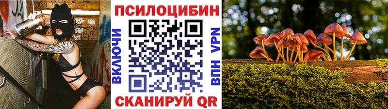 Галлюциногенные грибы мухоморы маркетплейс официальный сайт Кулебаки